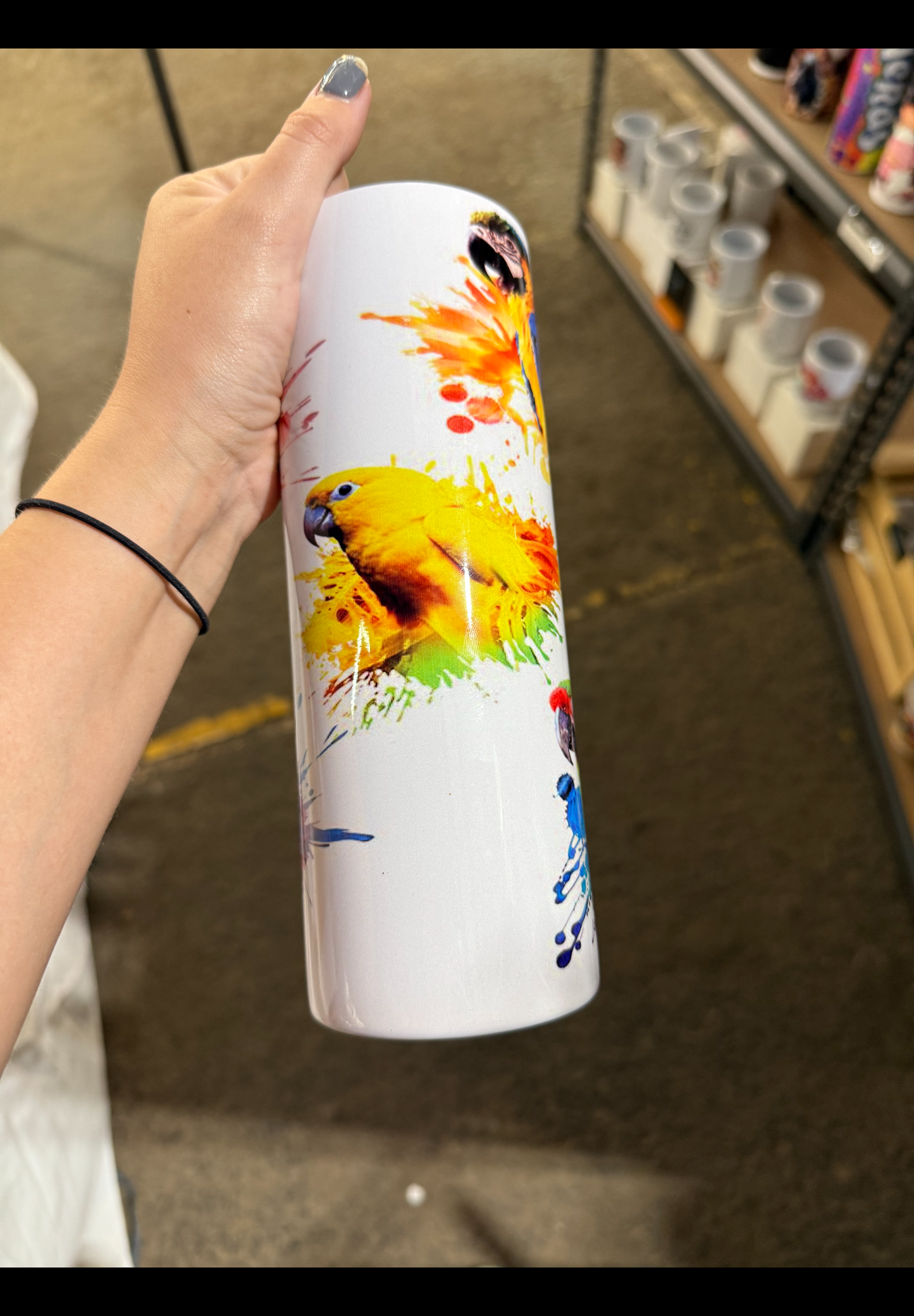 Parrots insulated tumbler