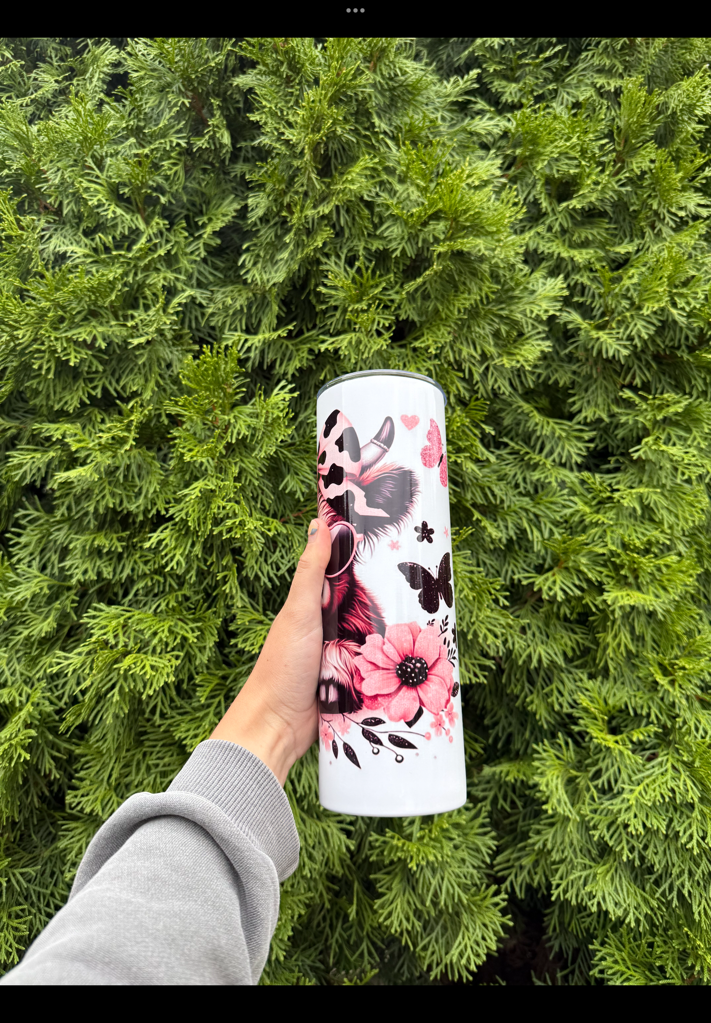 Highland cow butterfly’s with flowers