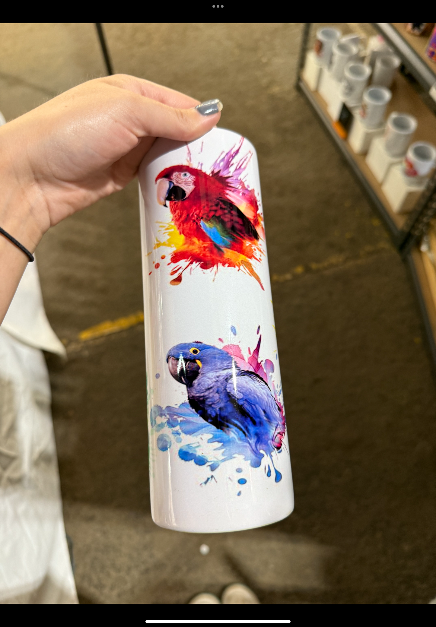 Parrots insulated tumbler