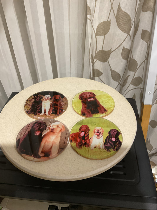 Lab dogs 4 pack coasters
